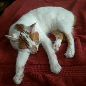 Meet your Posher, Katherine